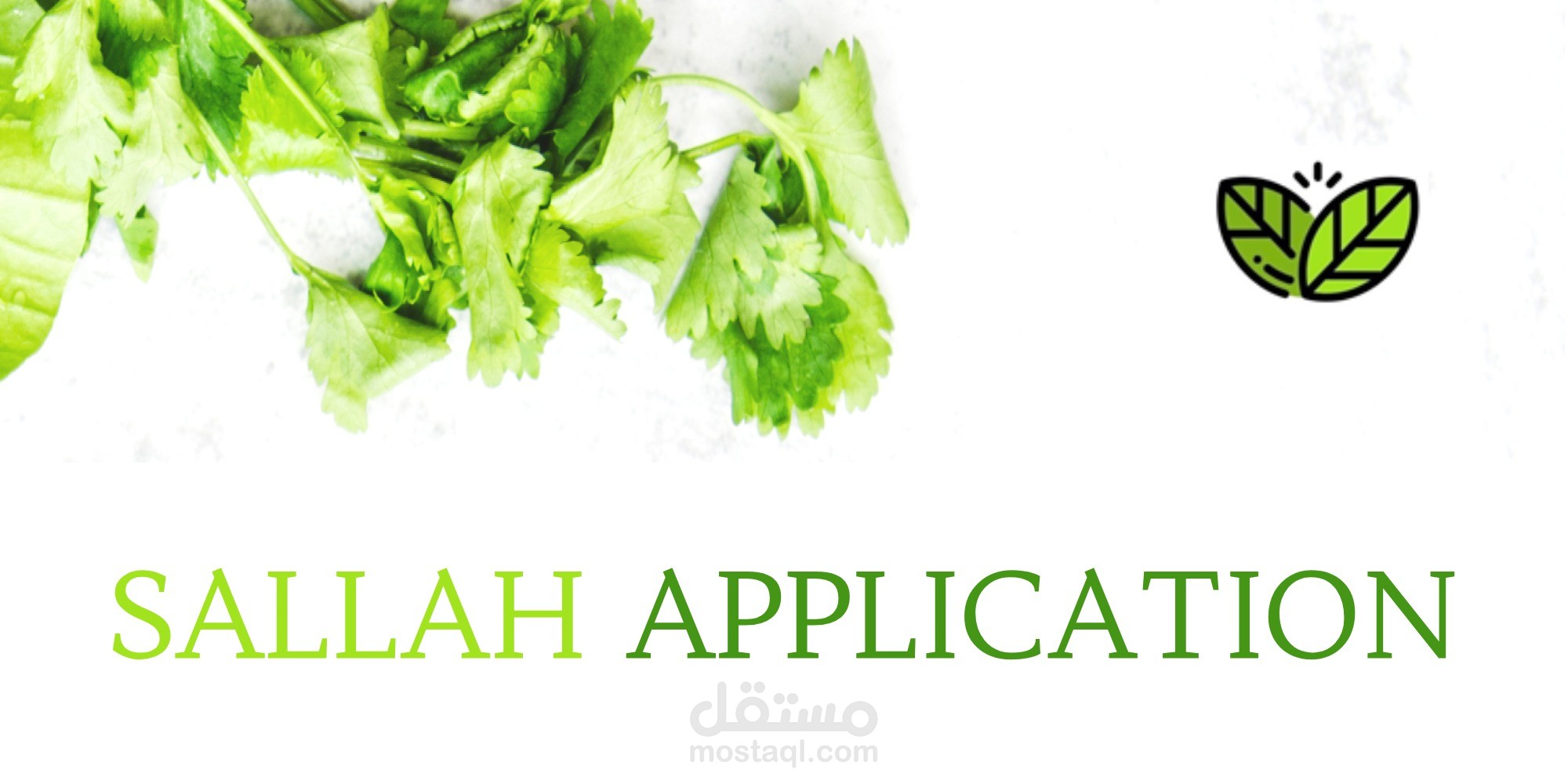 تطبيق اندرويد سلة