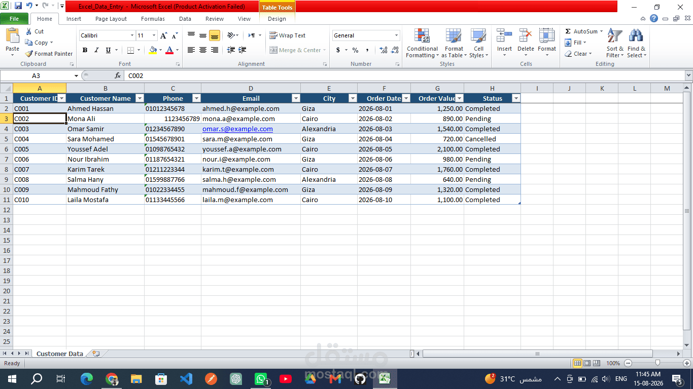 Excel Data Entry & Formatting