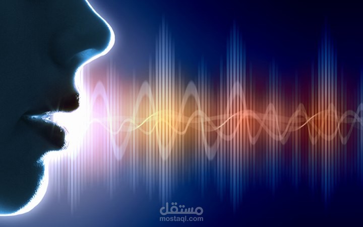 التعليق الصوتي