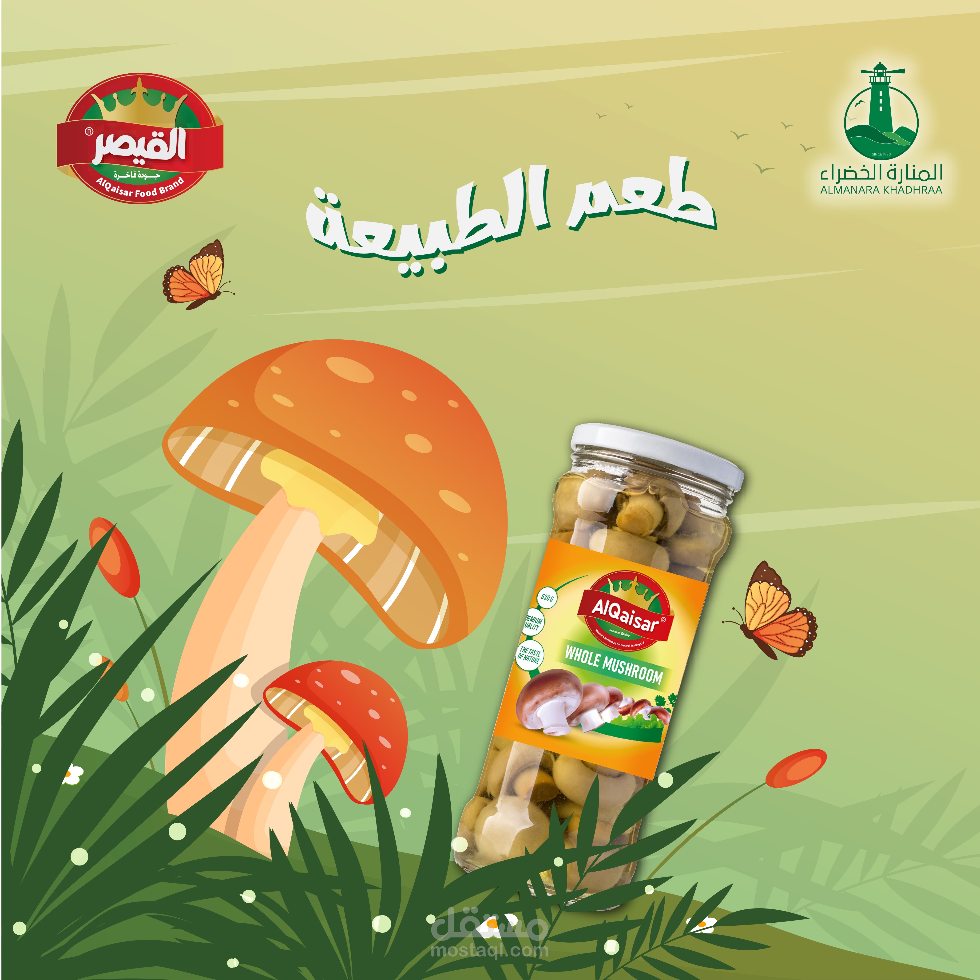 تصميمات سوشيال ميديا