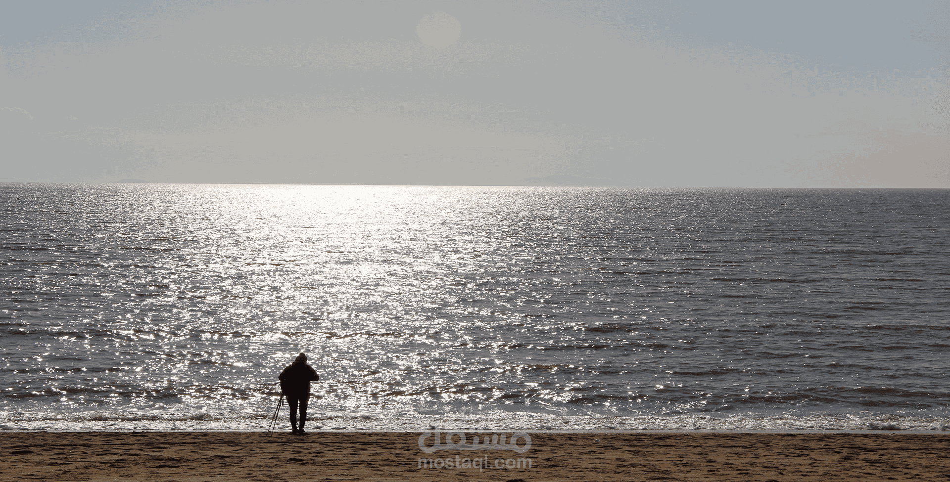 تصميم موقع فوتوغرافي