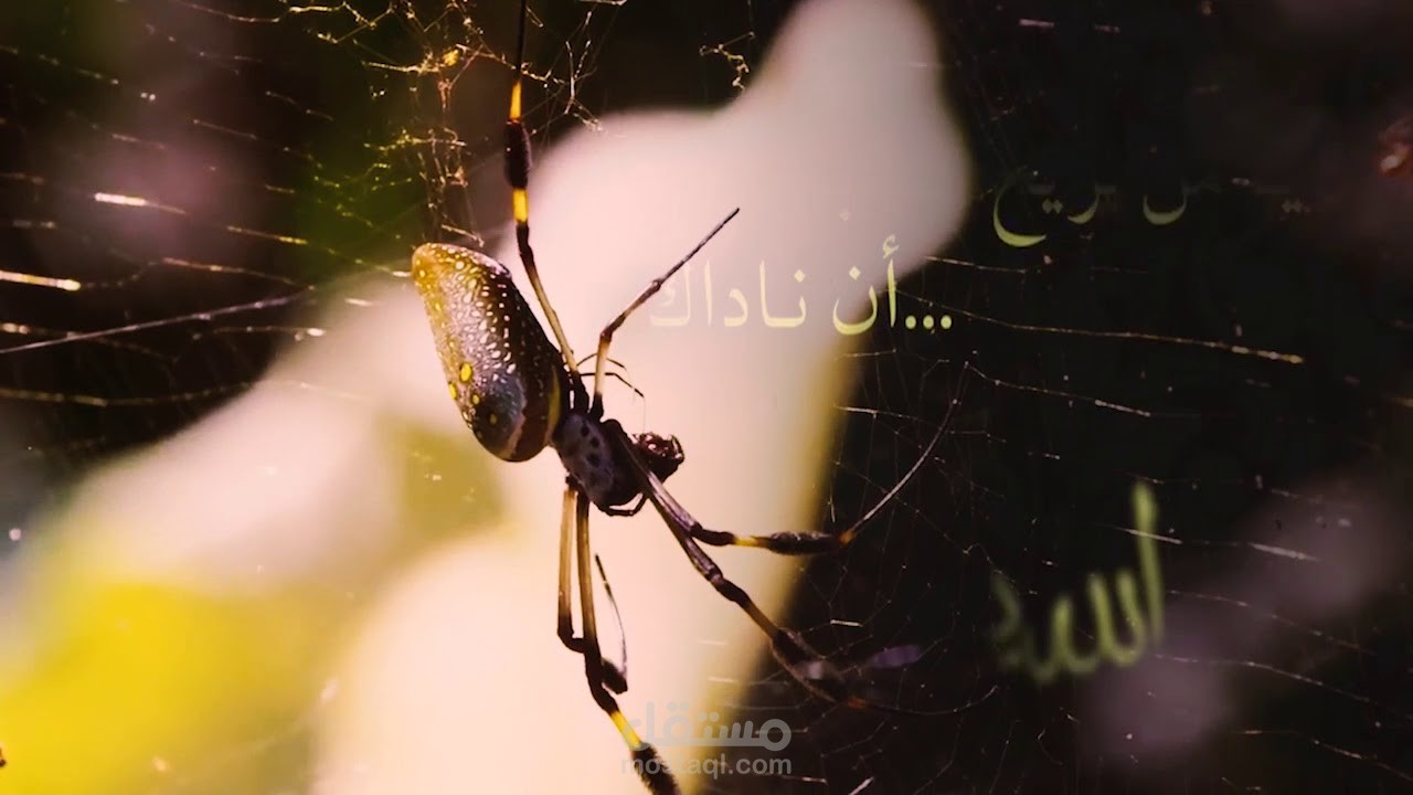 إبتهال وأدعية دينية