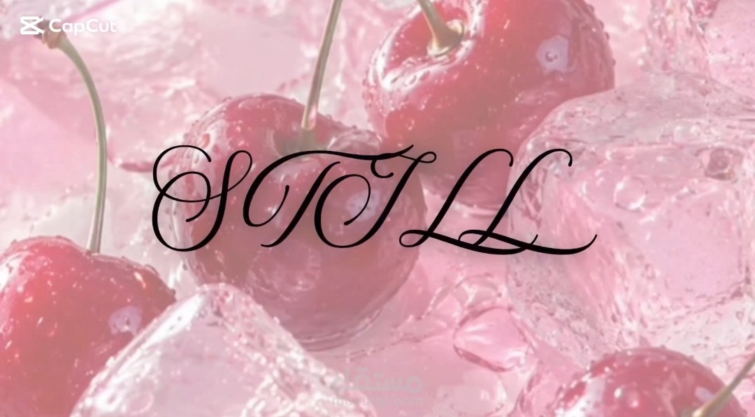STIL Lip Treat – Dynamic Product Showcase