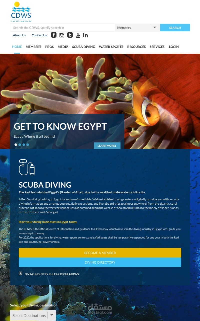 Arabic Website Presentation