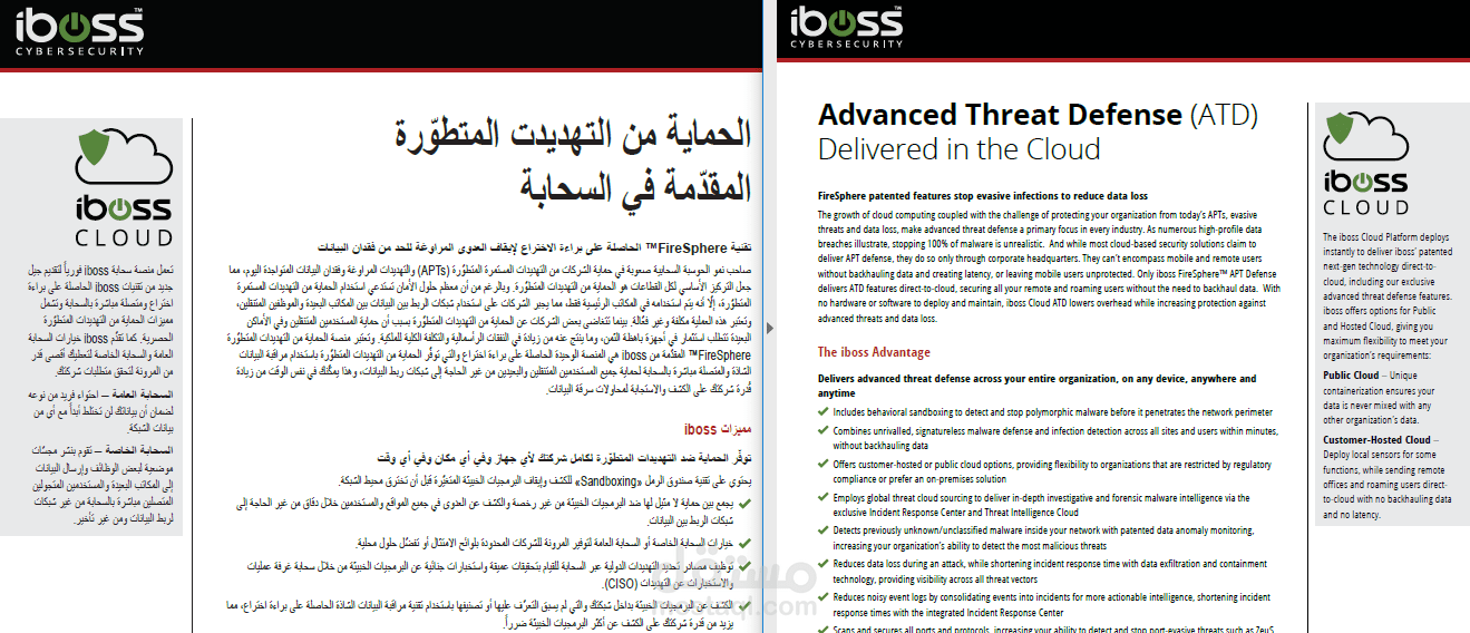 ترجمة تقنية