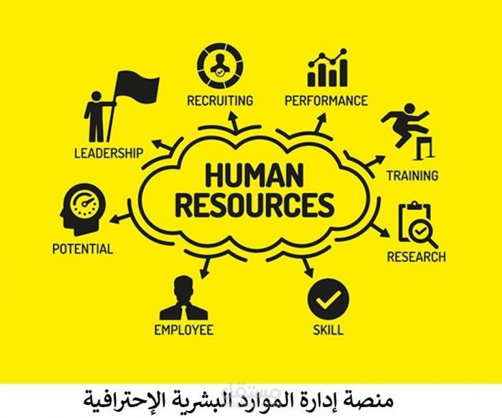 مستشار أعمال محترف بالحوكمة والتطوير الإداري