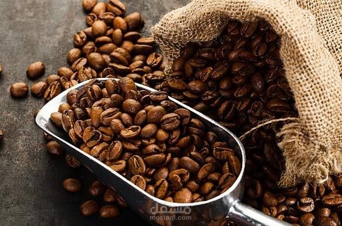 دراسة  جدوي لمحمصة بن بالدوحة