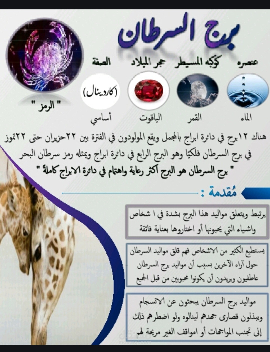 مقدمة كتاب مُصغر ( كتيب )