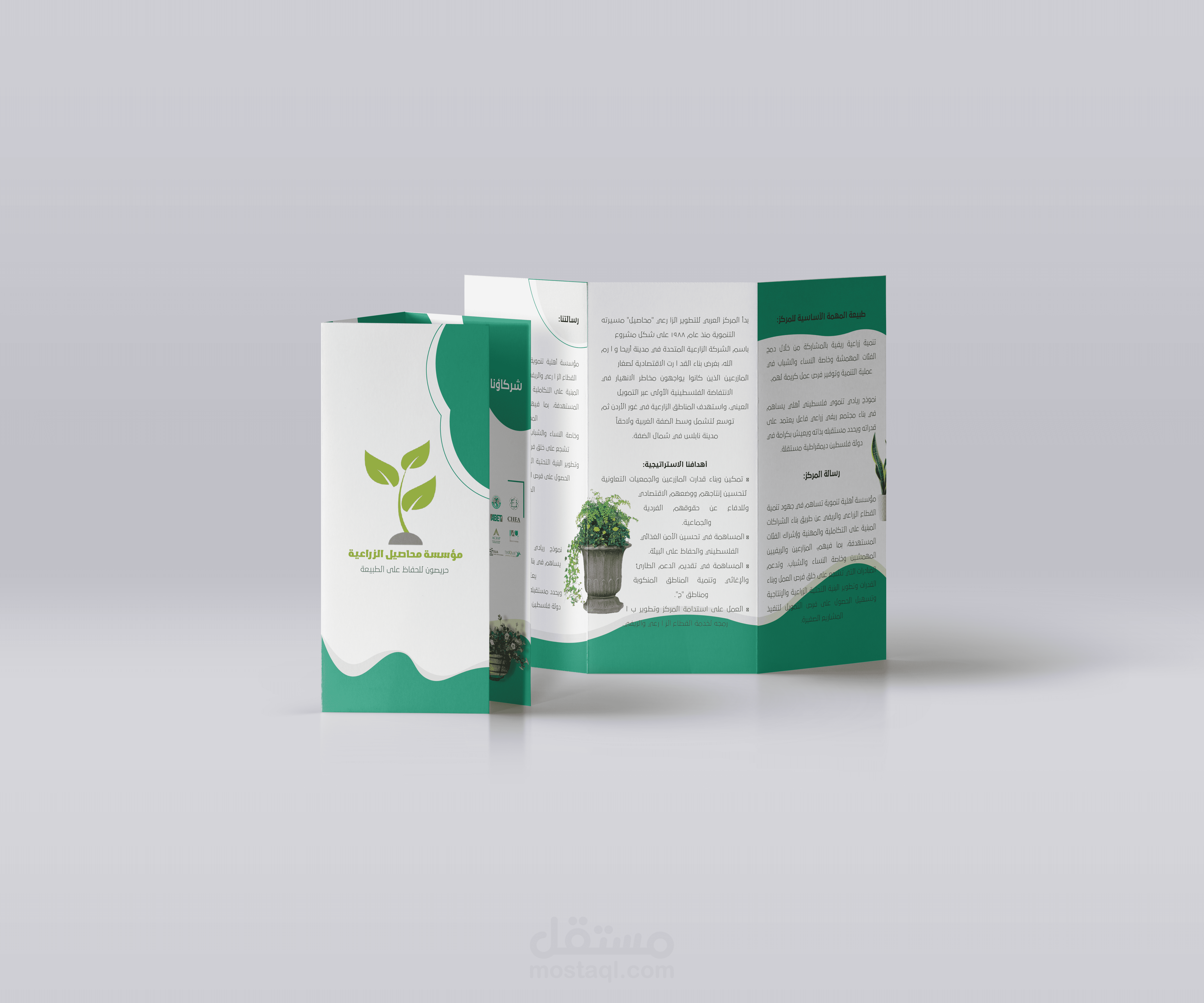 تصميم بروشور