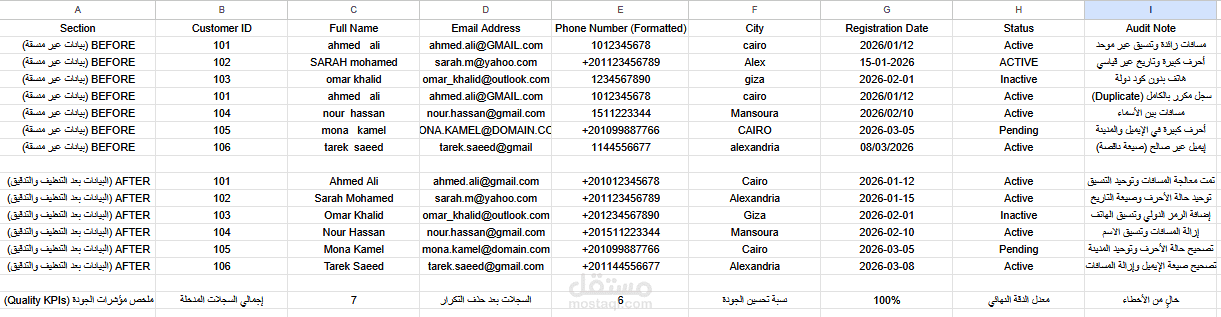 Data Cleaning And Quality Audit Project
