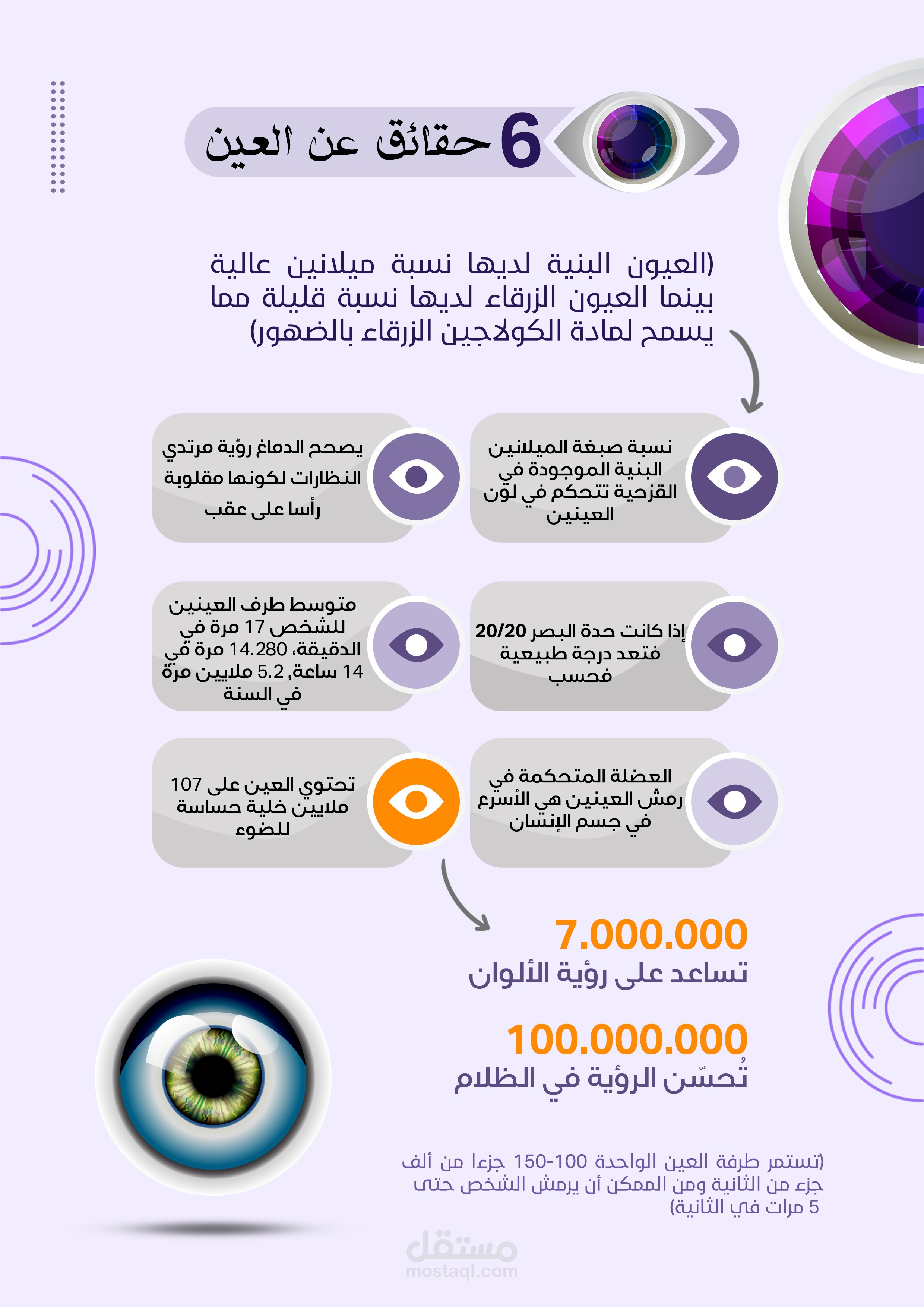 تصميم انفوجرافيك احترافي