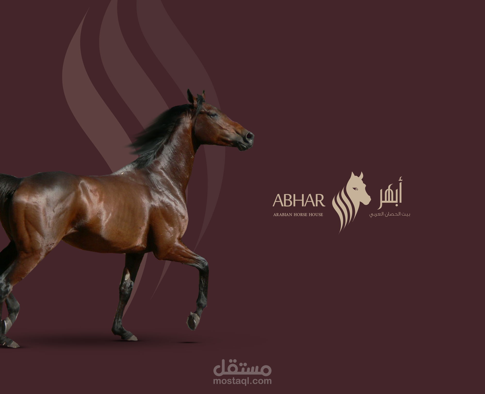 هوية بصرية وشعار لمؤسسة أبهر