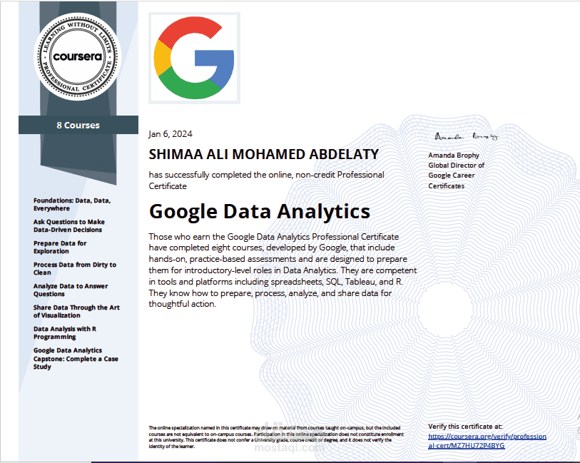 Google Data Analytics Professional Certificate