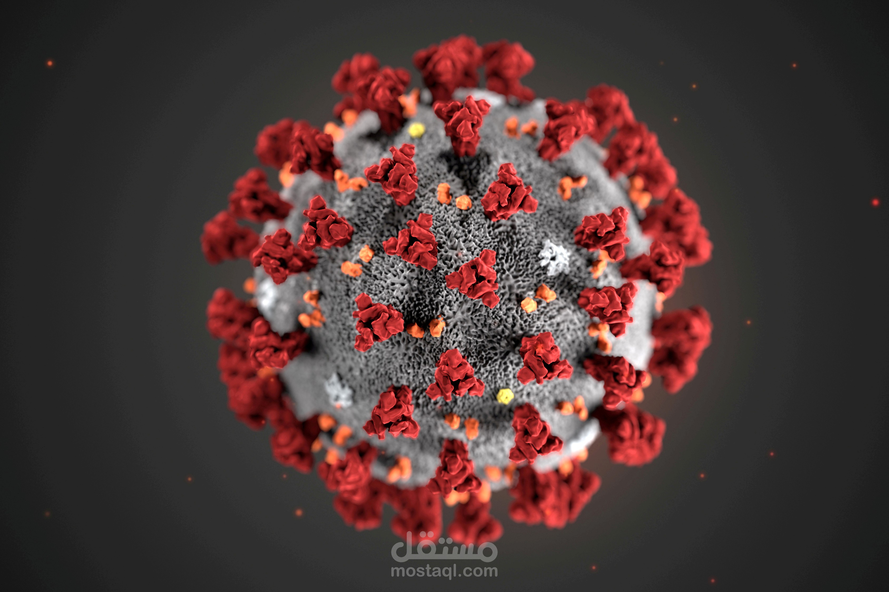Coronavirus disease content