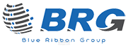 شركة بلو ريبون جروب