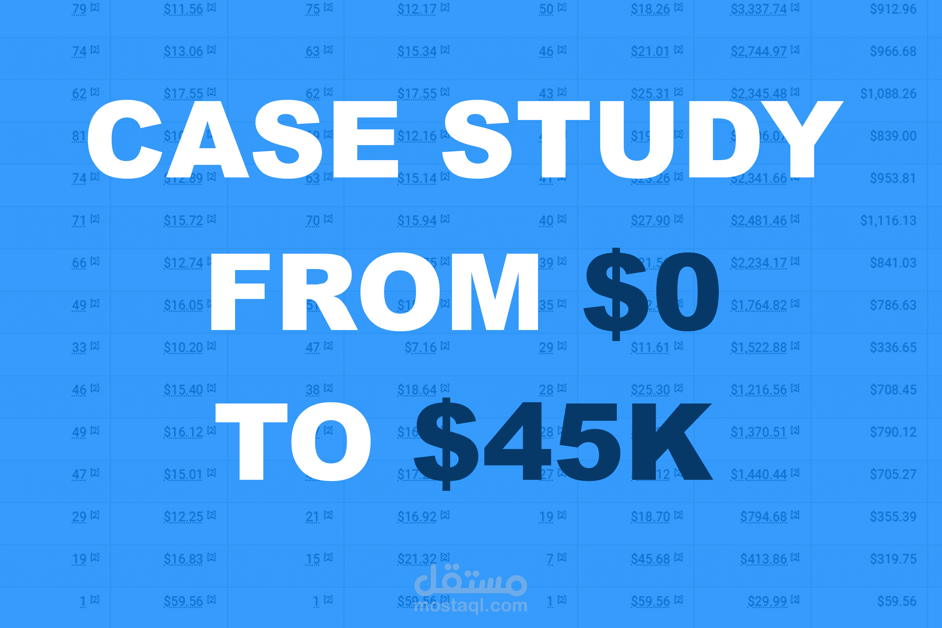 من 0$ الى 45,000$ الف دولار مبيعات لمتجر الكتروني باستعمال Facebook ads