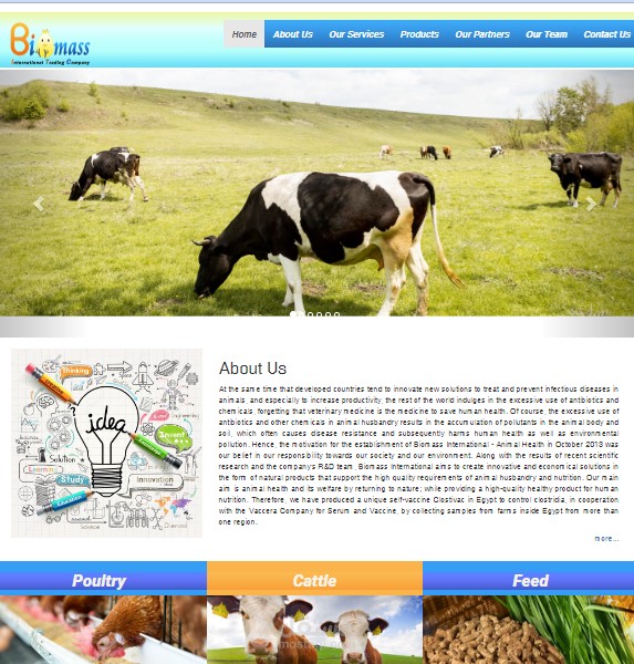 تصميم موقع شركة Biomass International