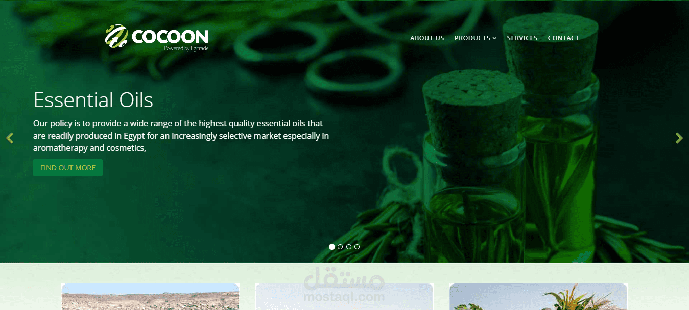 تصميم موقع cocoonegypt