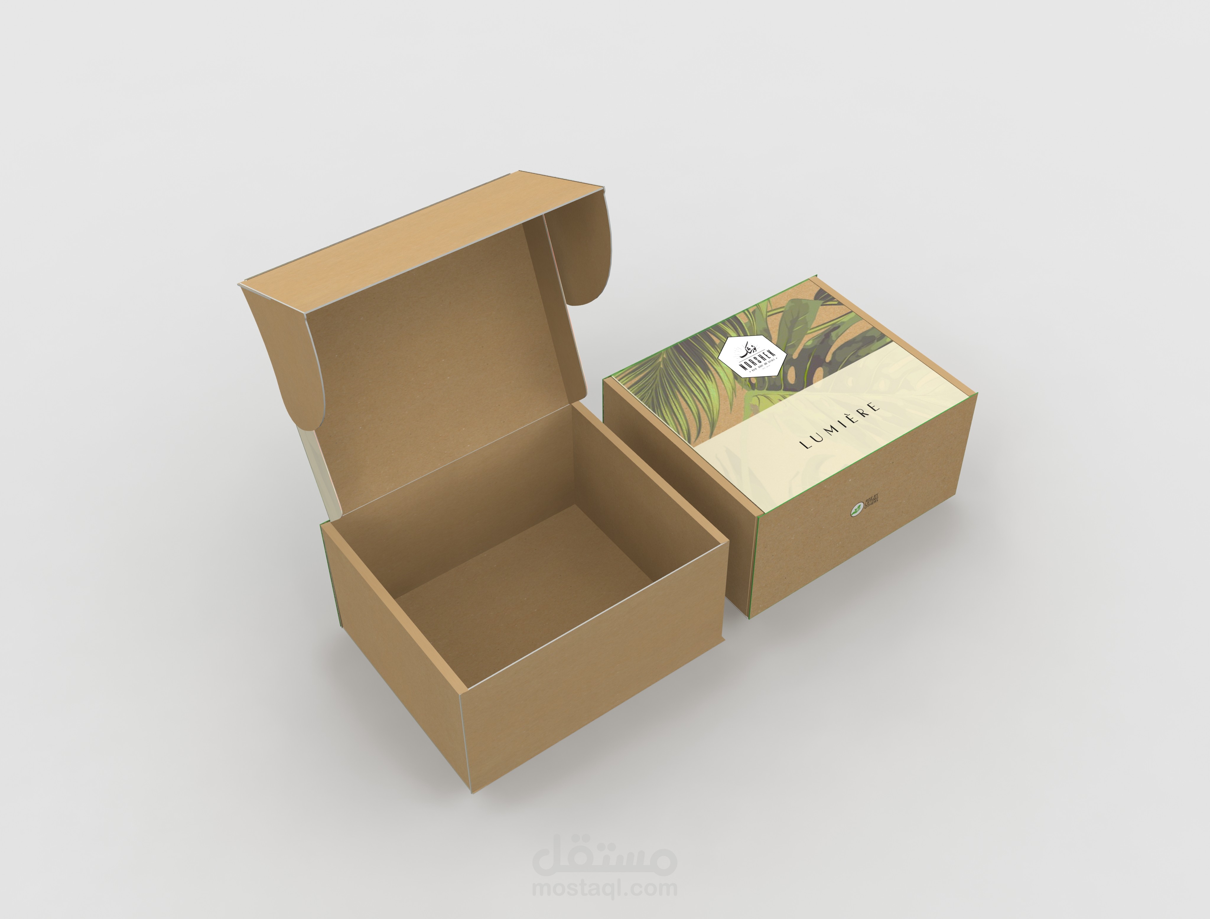 تصميم كارتونة