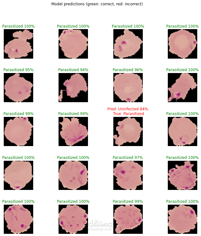 تصنيف الصور بأستخدام التعلم المعمق Deep Learning