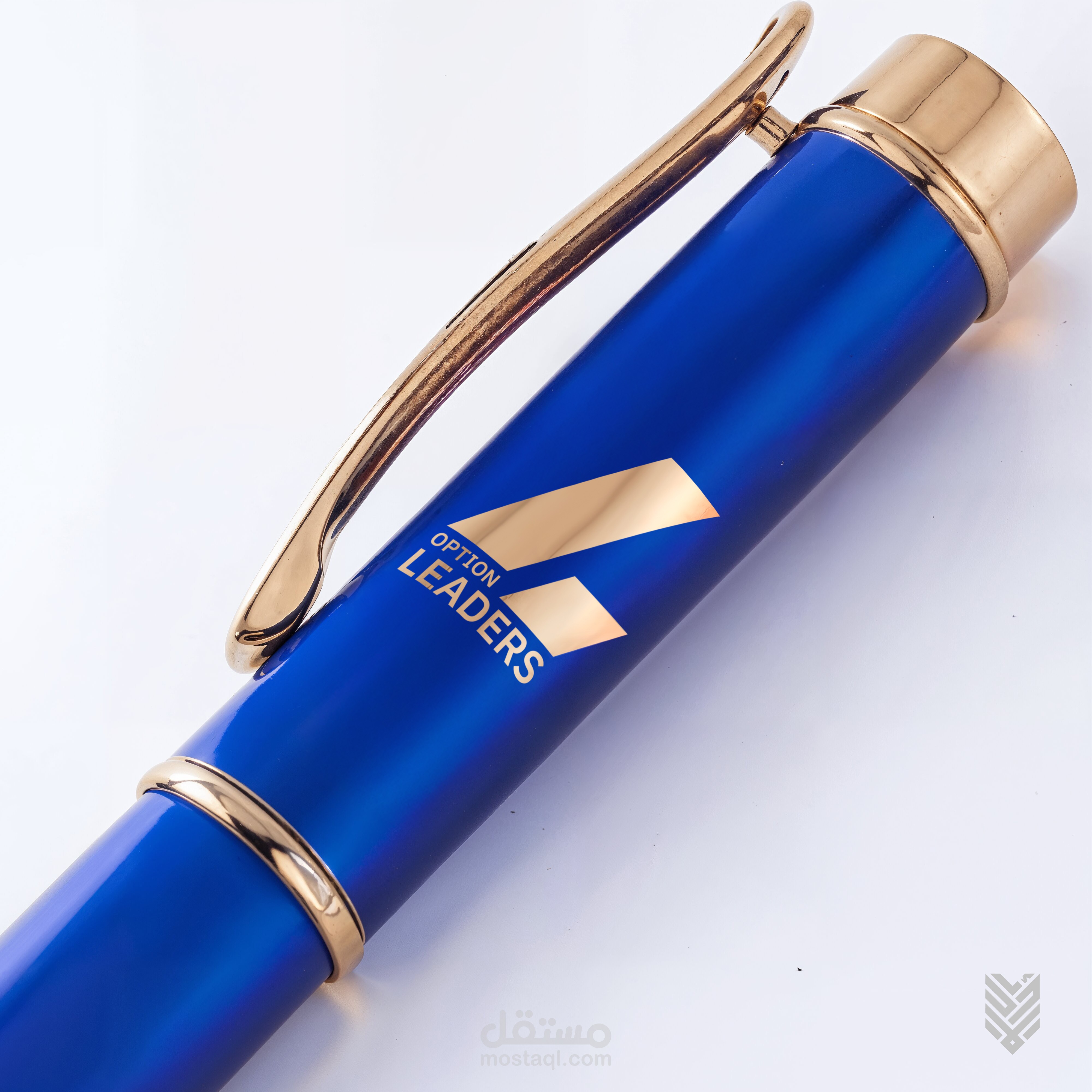 تصميم هوية بصرية | Option Leaders