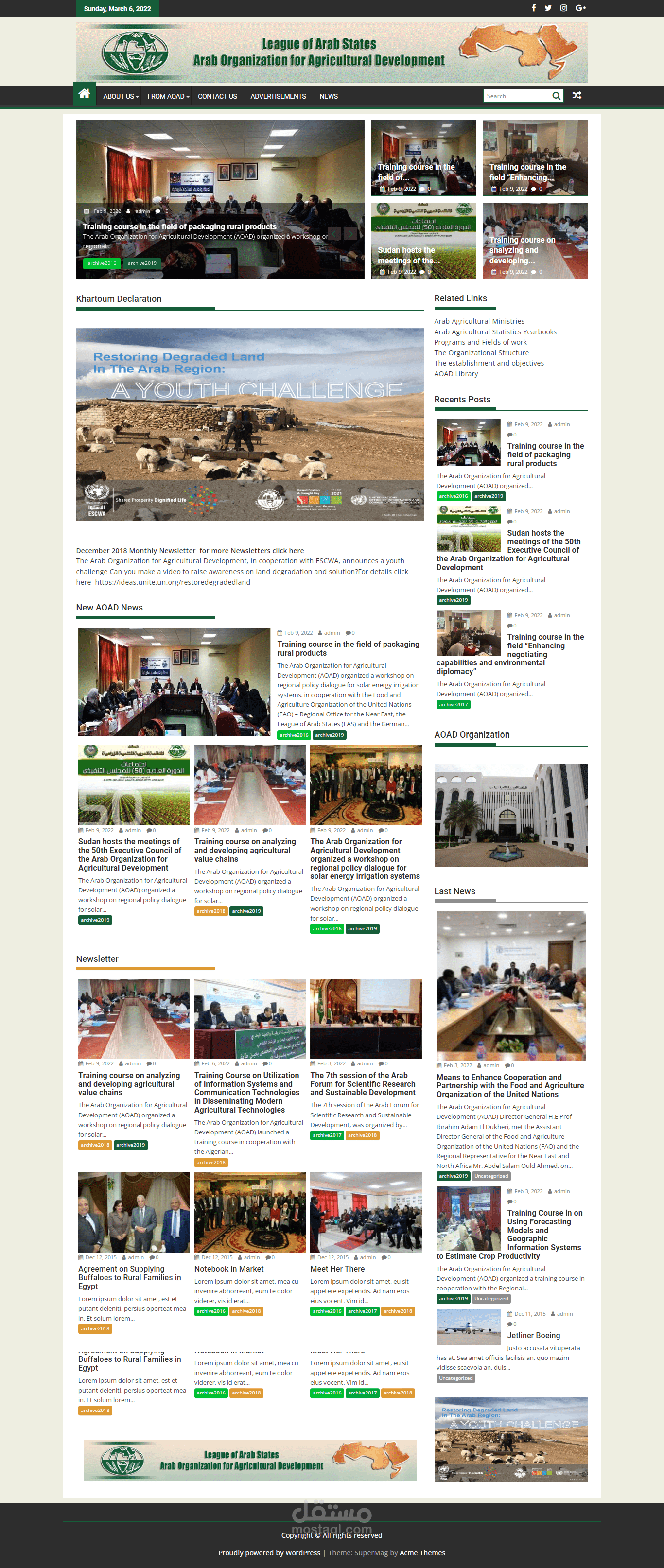Orgnization Website(unofficial)