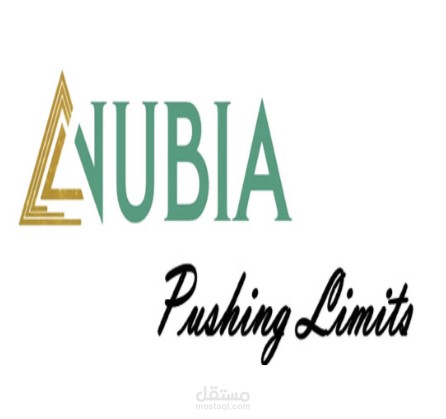 خطة تسويقية لمشروع محرك بحث التذاكر والفنادق - شركة Nubia MA
