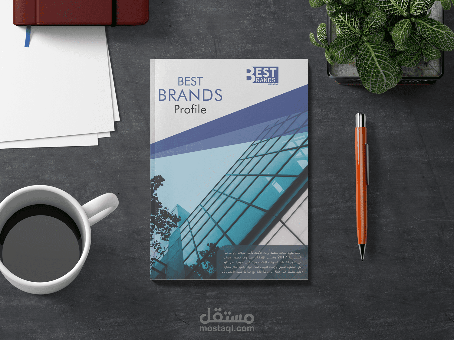 Company Profile for an Advertising Magazine
