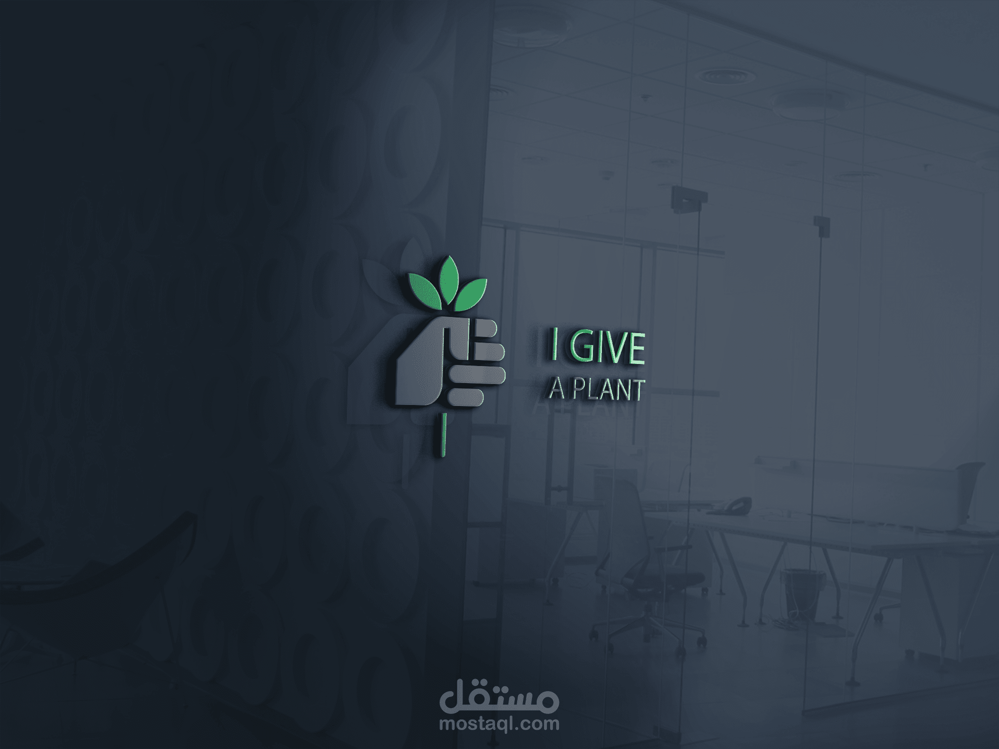 i give a plant