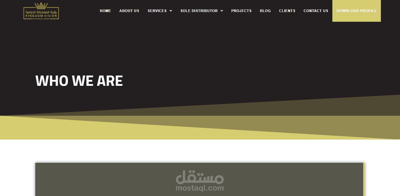 رؤية المملكة الدولية