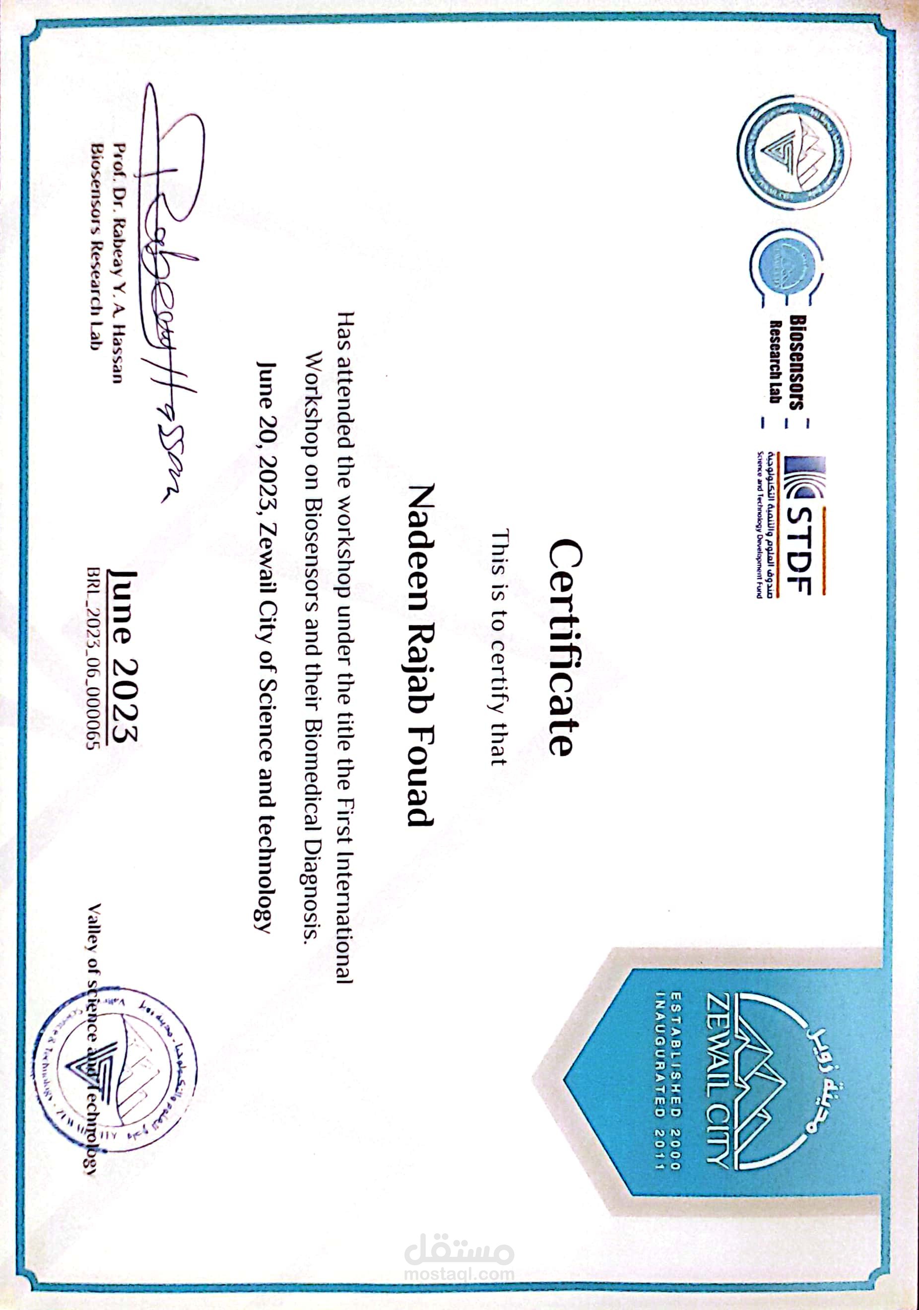 شهادة ورشة عمل biosensors