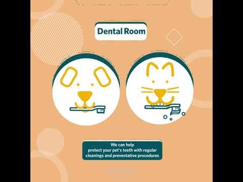 موشن جرافيك عيادة بيطرية