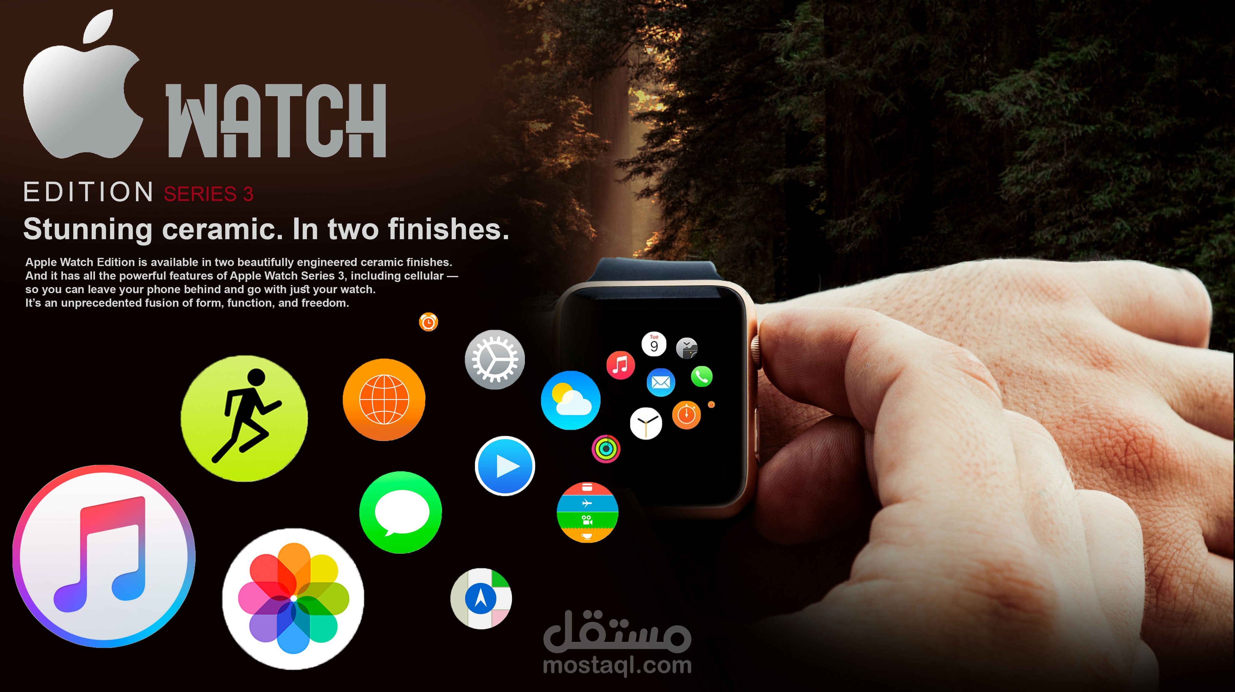 apple watch edition series3