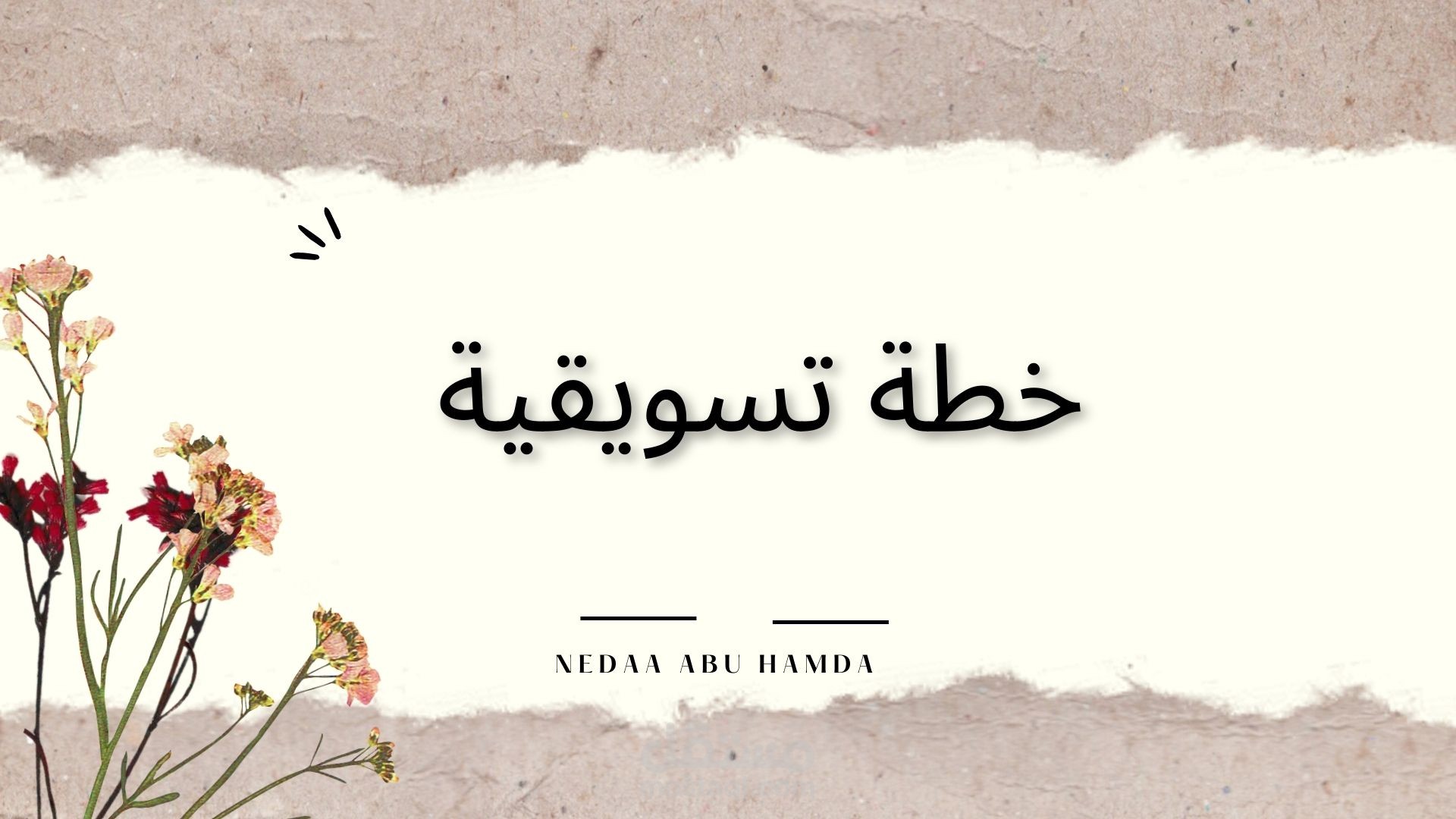 خطة تسويقية