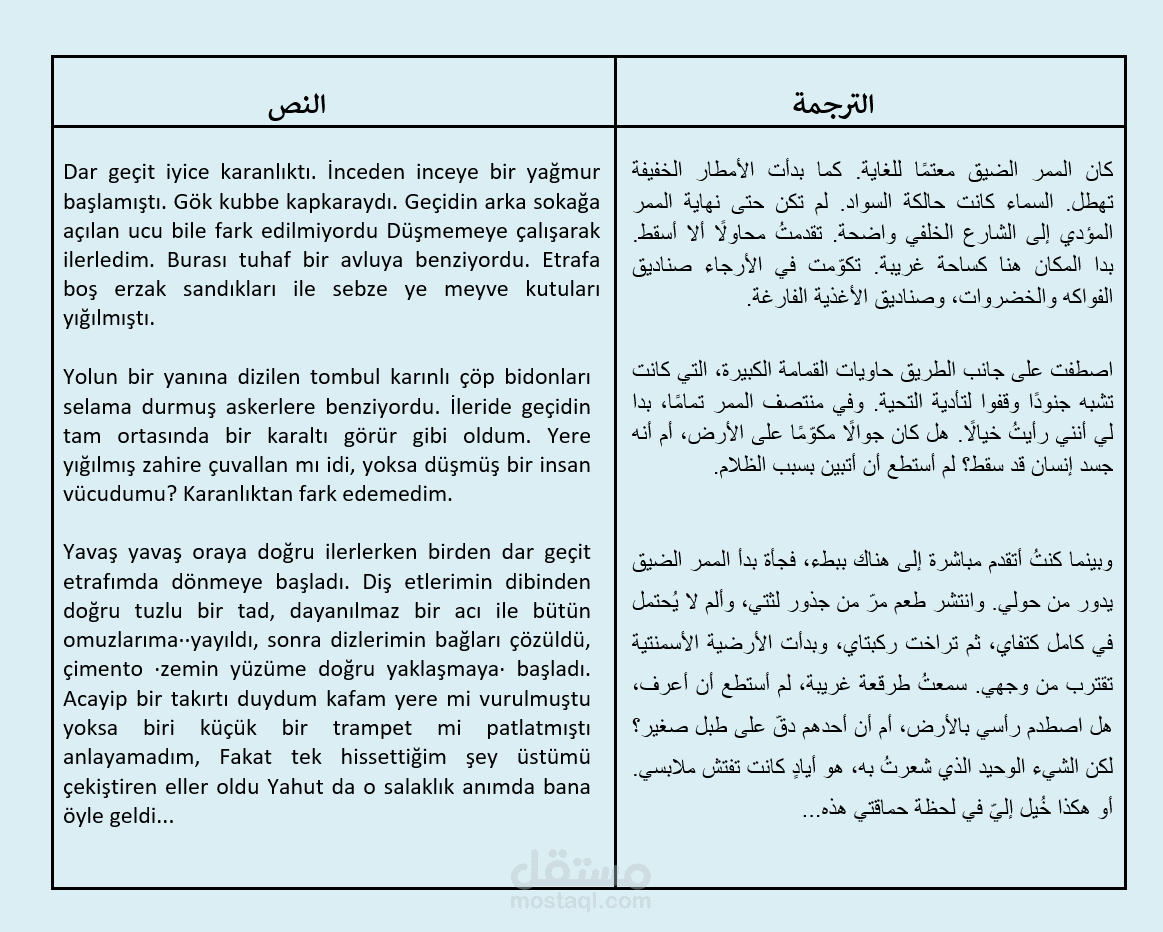ترجمة أدبية (من التركية إلى العربية)
