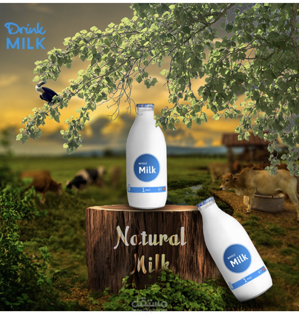 تصميم الإعلانات التجارية