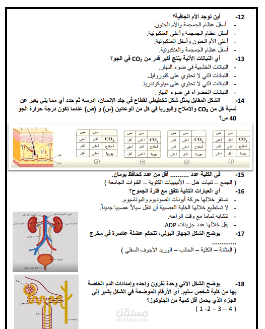 تفريغ أسئلة لمادة الأحياء من فيديو إلى ملف وورد