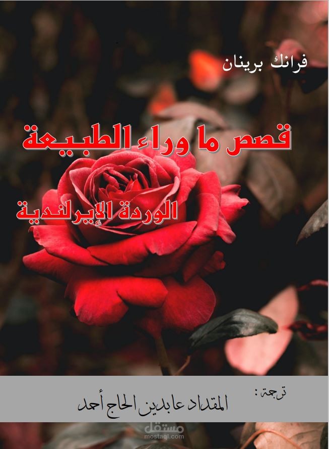 الوردة الإيرلندية