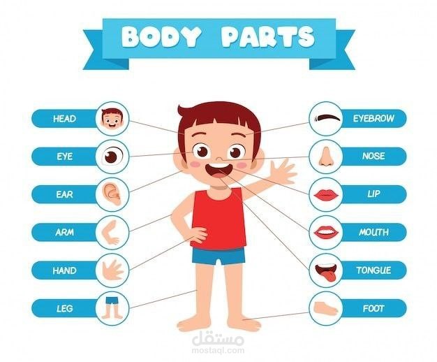تقديم دروس لغة إنجليزية للأطفال