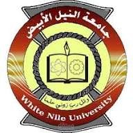 أستاذ محاضر