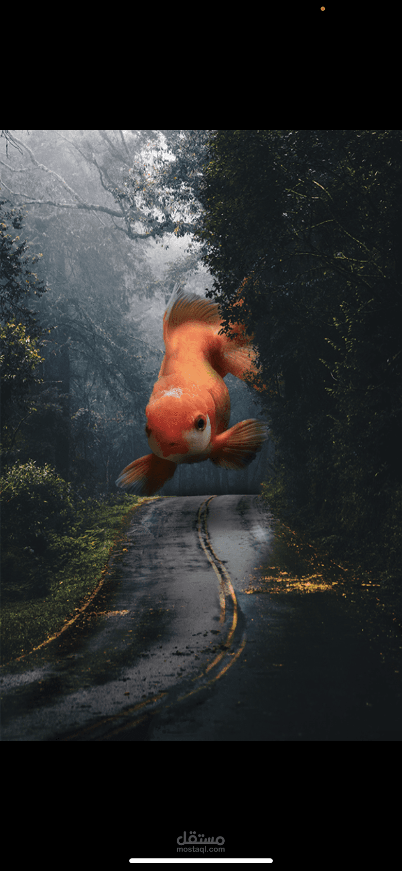 Photoshop manipulation