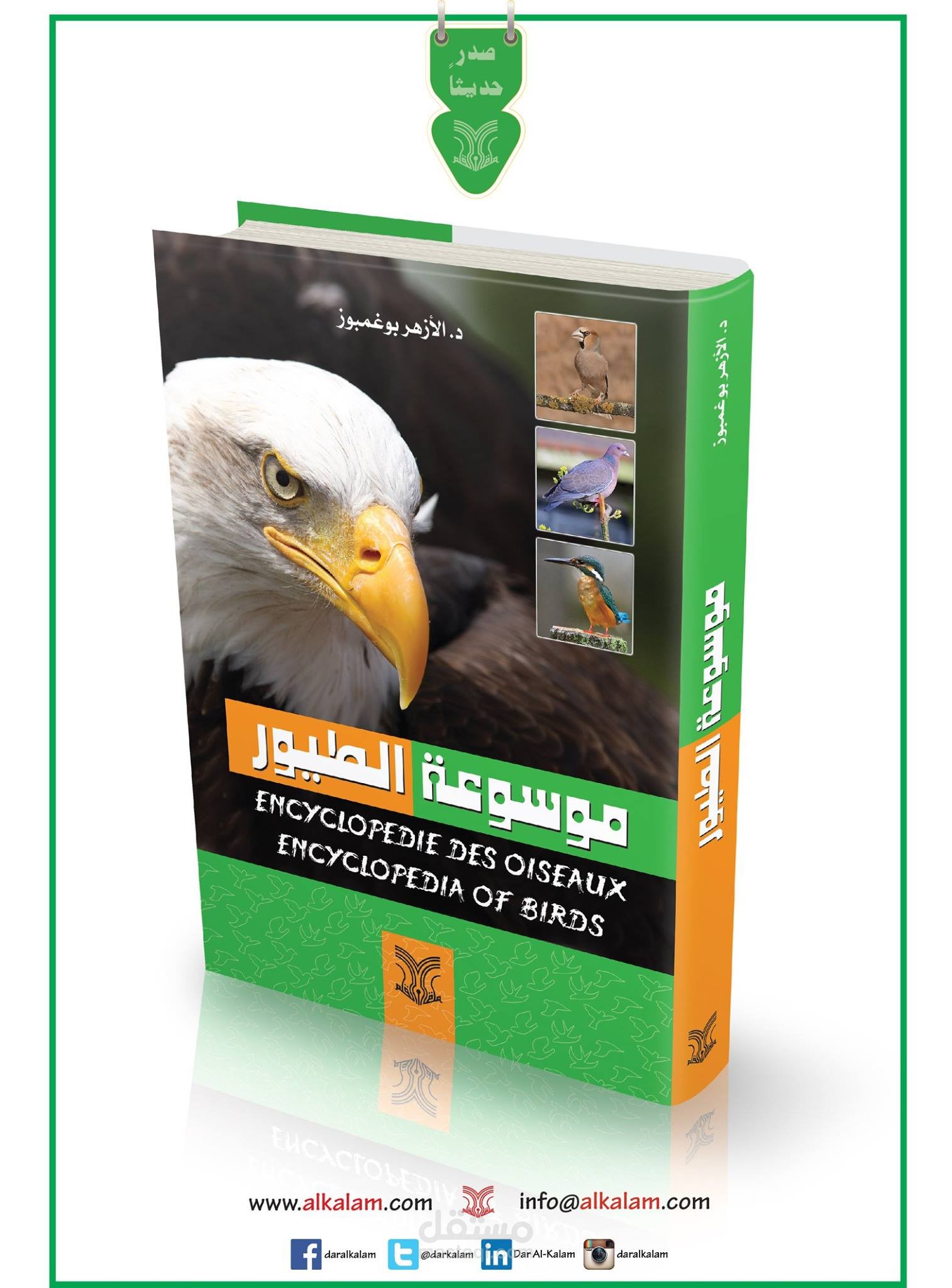 عرض منتجات بطريقة احترافية