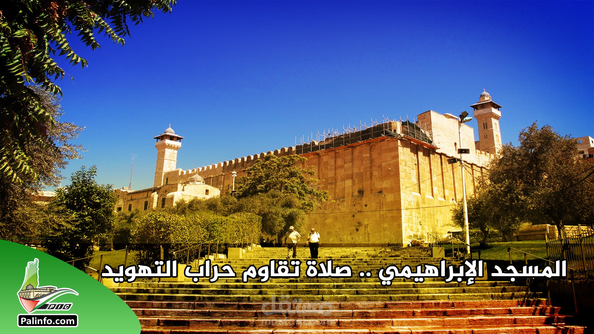 مجموعة من الفيديوغراف