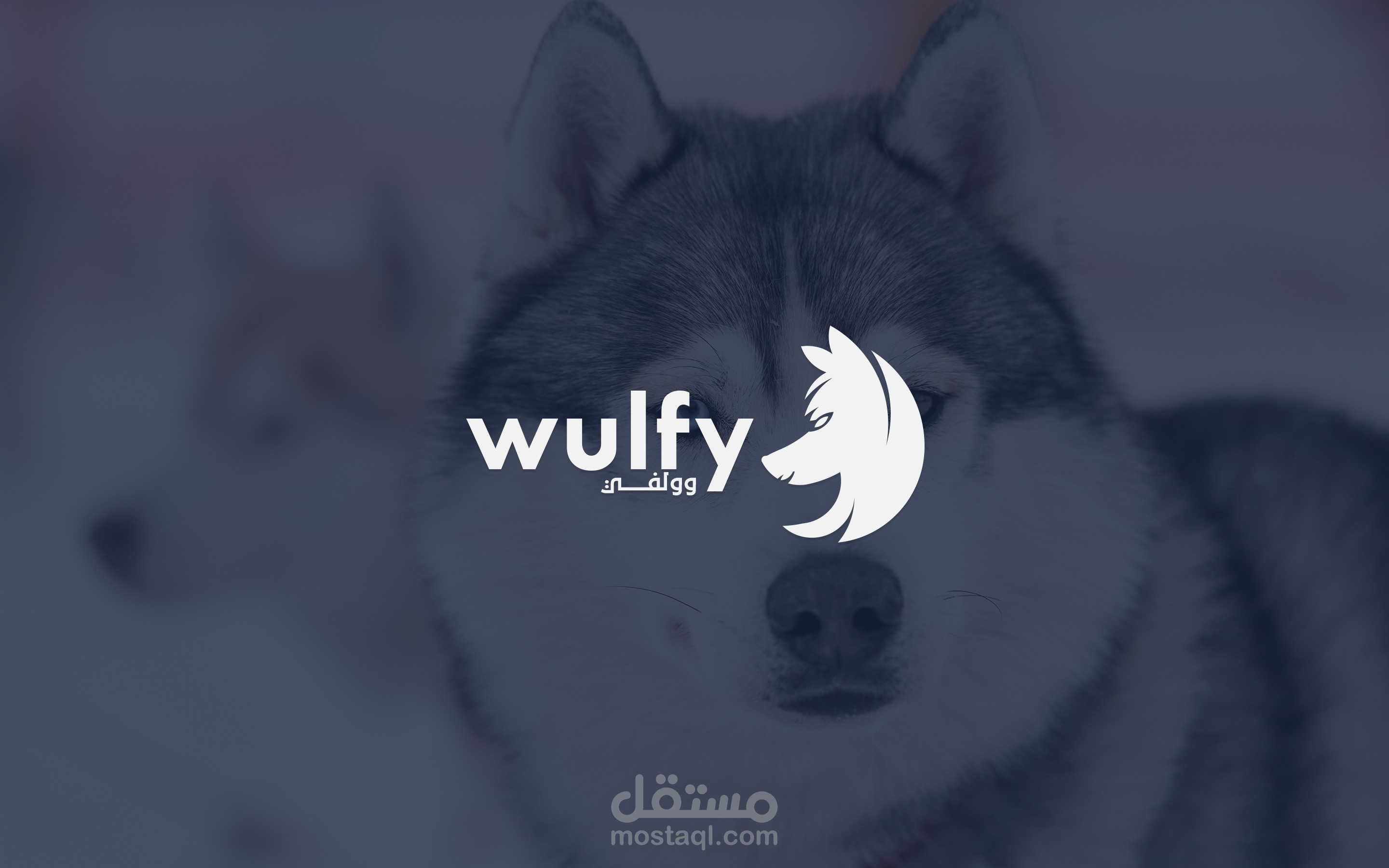 تصميم لوجو | وولفي | النسبة الذهبية