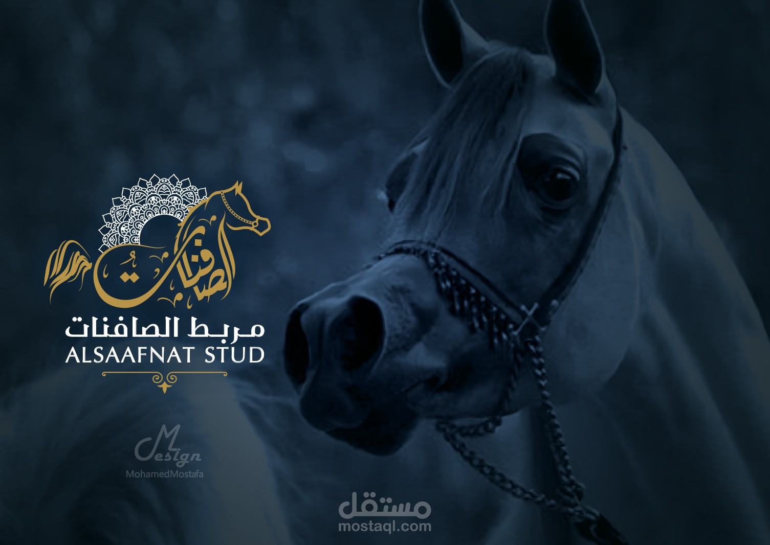 شعار ( مربط الصافنات)  للخيول العربية