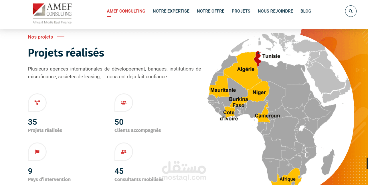 amefconsulting