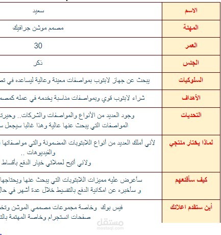 buyer persona  عينة من باير بيرسونا لمتجر لابتوب