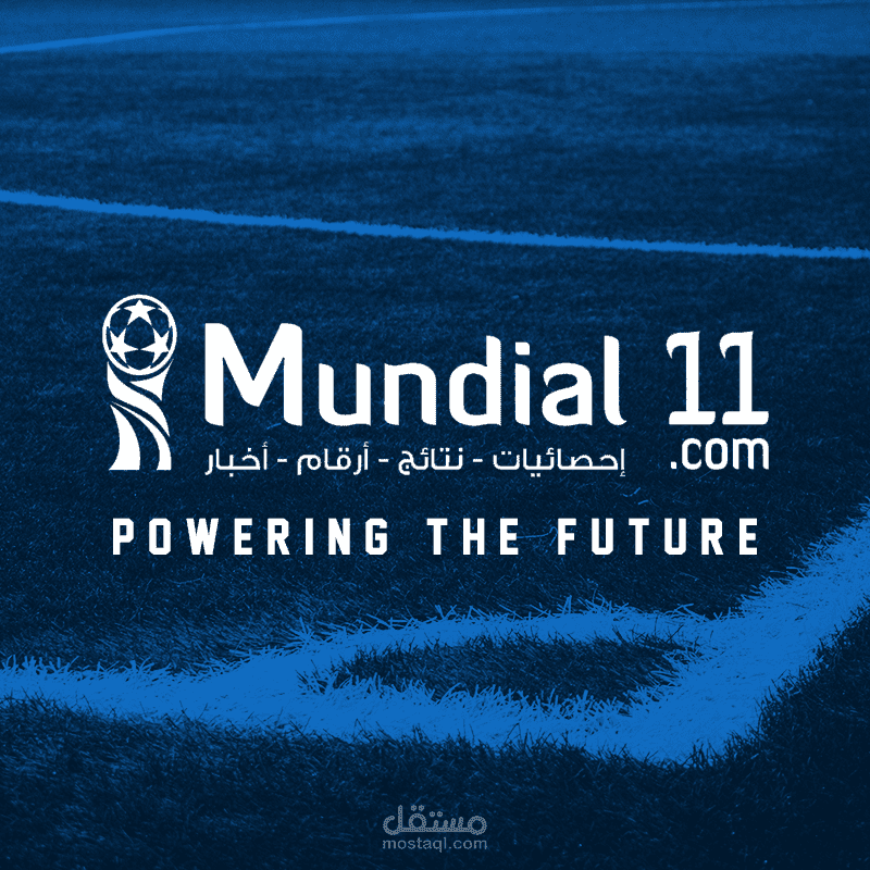 مدخل بيانات في موقع mundial11