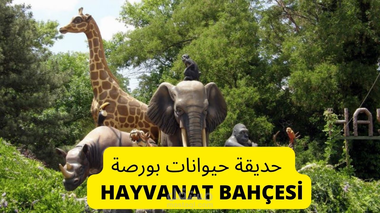 حديقة حيوانات بورصا تركيا