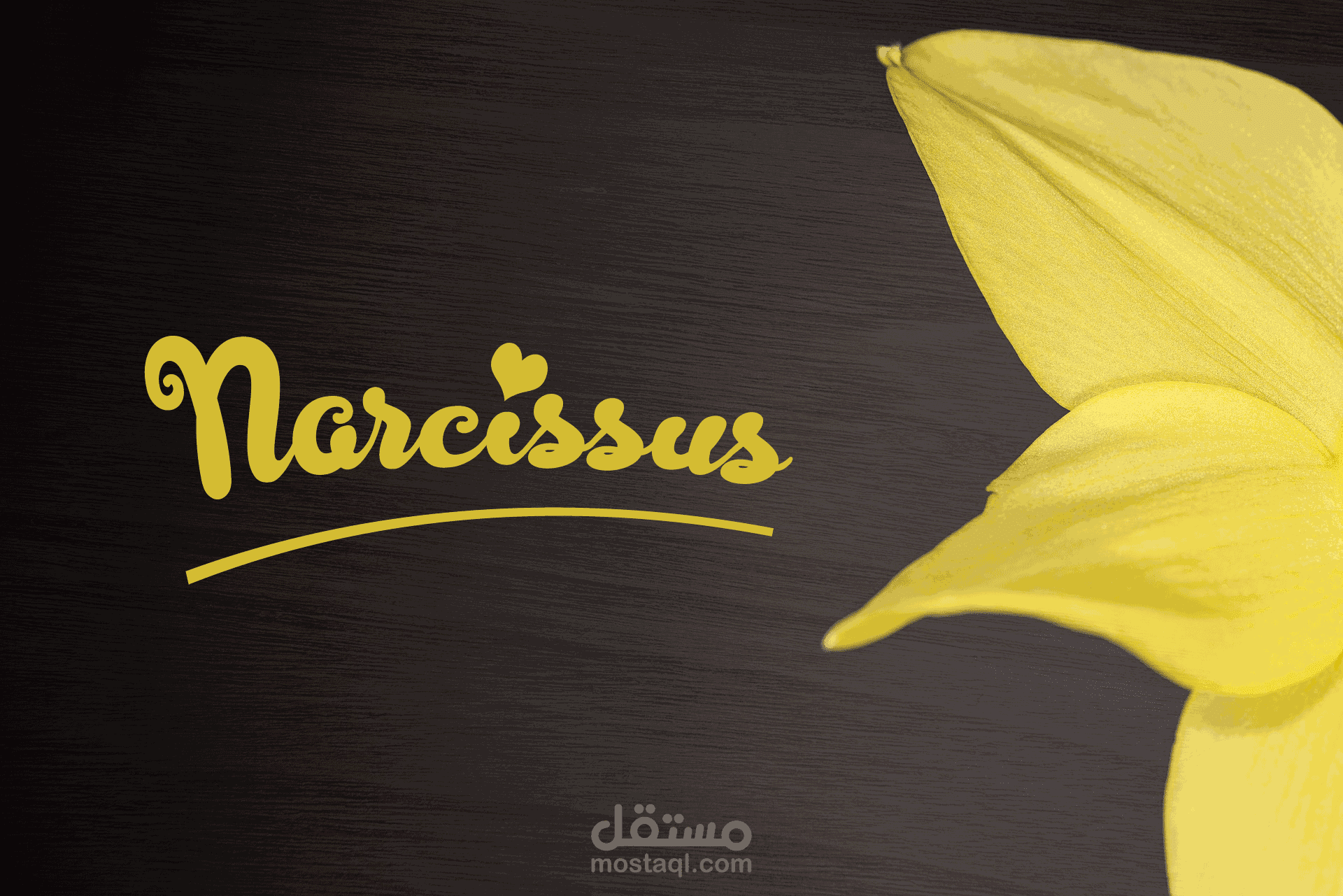 brand name &logo لمحل عطور